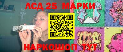 индика Ярославль